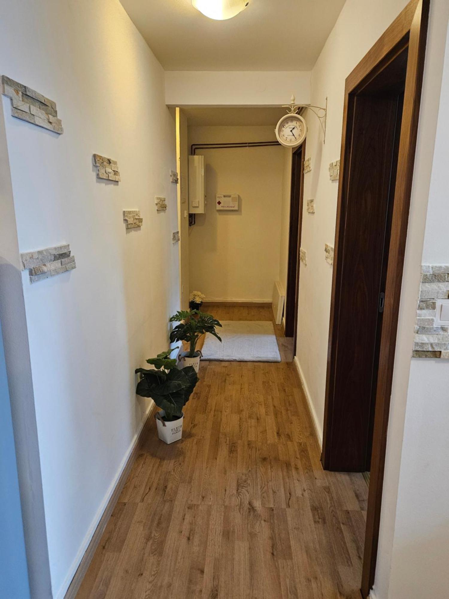 Apartment Zoya كْرانْيِسكا غورا المظهر الخارجي الصورة